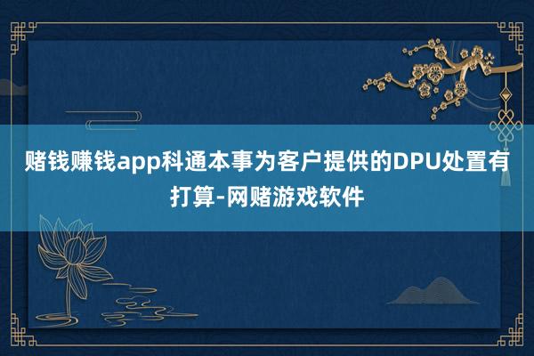 赌钱赚钱app科通本事为客户提供的DPU处置有打算-网赌游戏软件